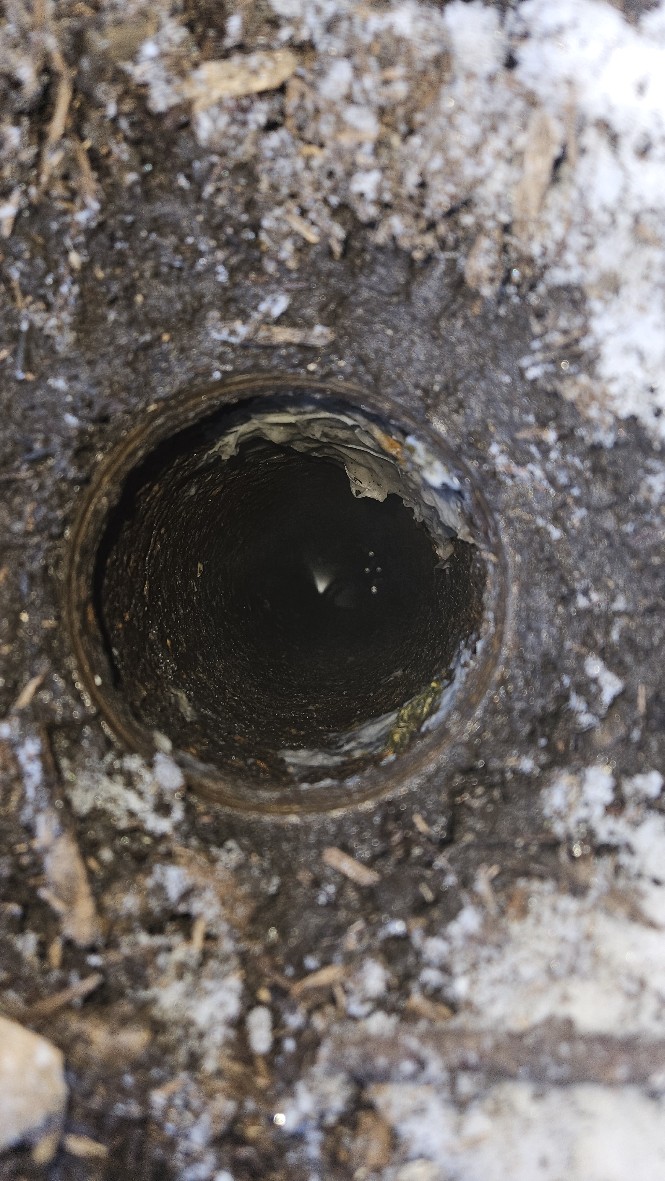 Excavation services near me